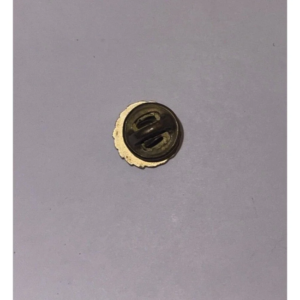 WWII ORIGINAL AMERICAN VETERANS AMVETS OF WORLD WAR II LAPEL PIN Free Shipping